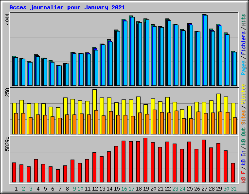 Acces journalier pour January 2021